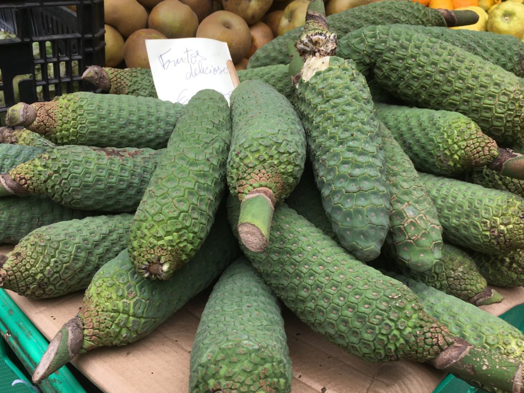 Mercado dos Lavradores fruits Frutos deliciosos