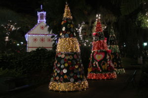 Funchal Christmas trees
