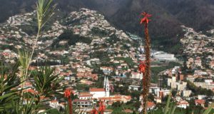Funchal mountain view