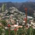 Funchal mountain view