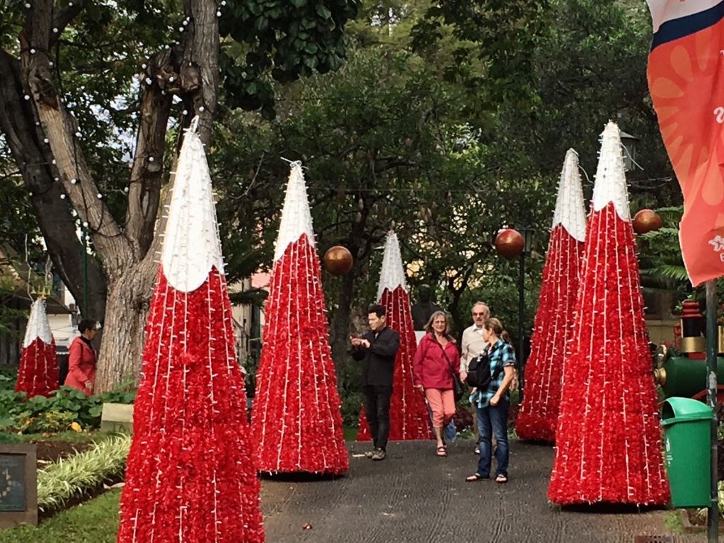 Jardim de Sao Francisco Christmas Funchal park Christmas decoration