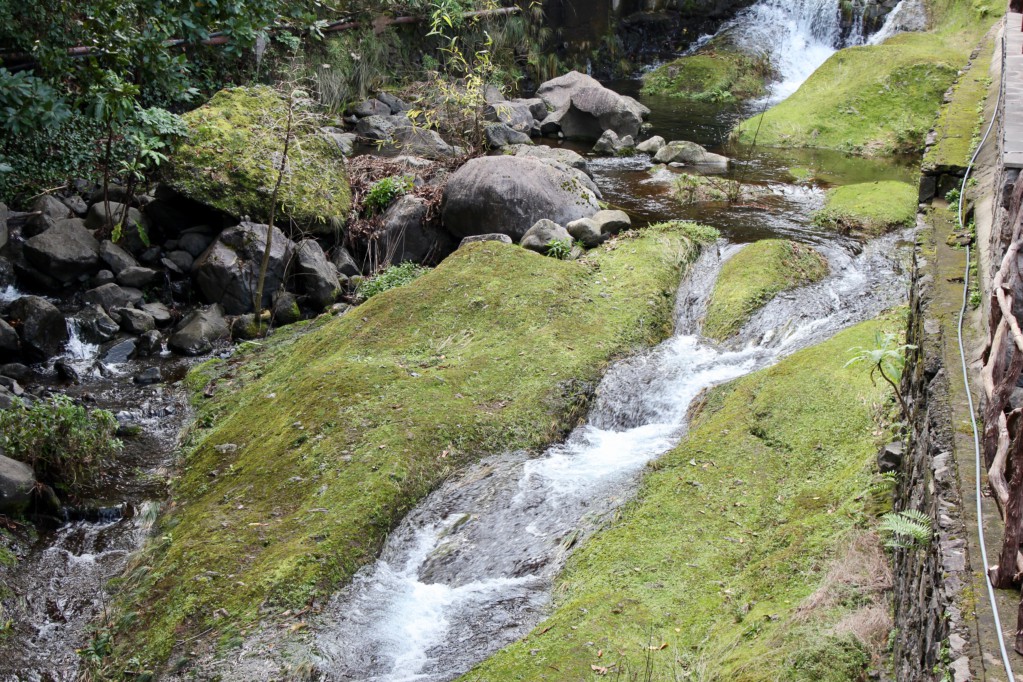 Ribeiro Frio levada walk to Portela Ribeiro Frio levada walk Central Madeira