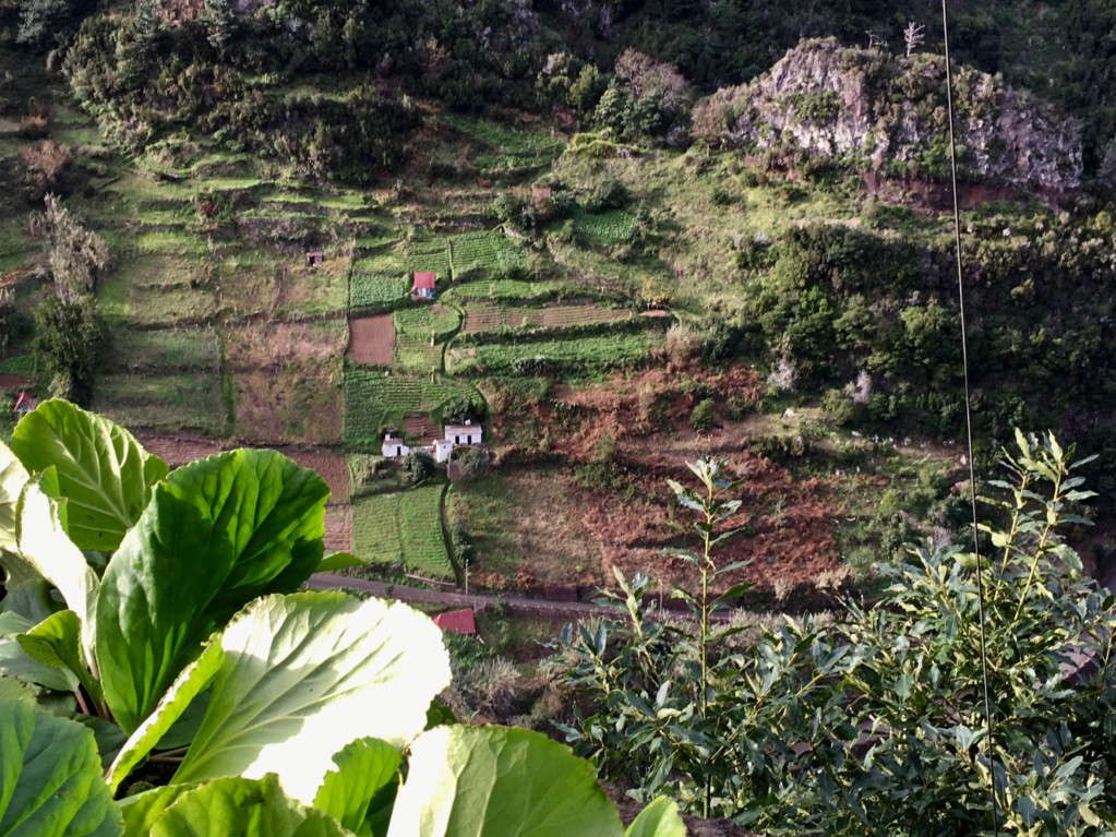 Ribeiro Frio to Faial terraced fields Ribeiro Frio to Faial terraced fields, Santana day trip from Funchal
