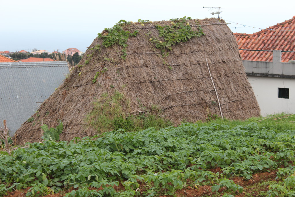 Traditional Santana roof A thached roof, Santana day trip from Funchal