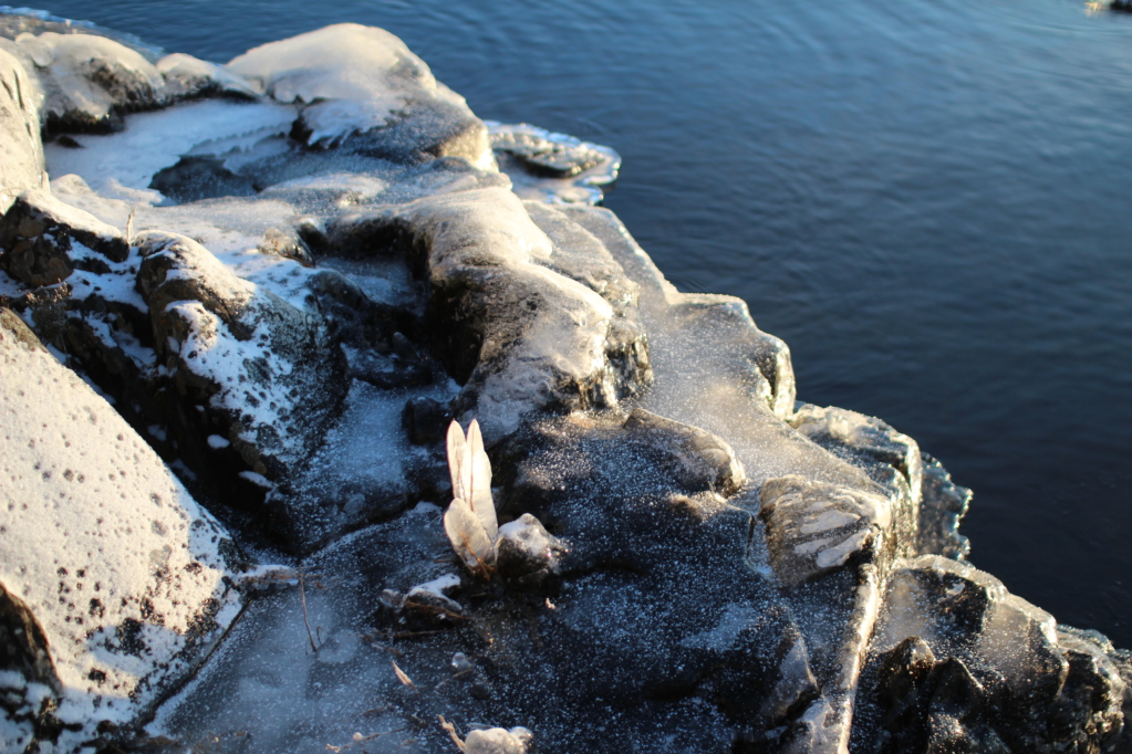 Ice on the lake shore Ice on the lake shore