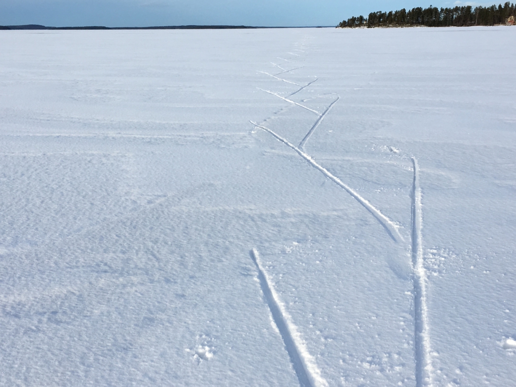 Winter Finland: skiing on the frozen lake Winter Finland: skiing on the frozen lake
