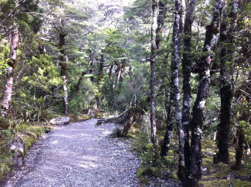 Devil's Punchbowl Walk Devil's Punchbowl Walk