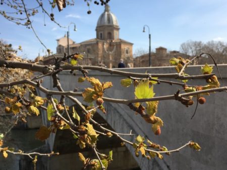 Spring in Rome