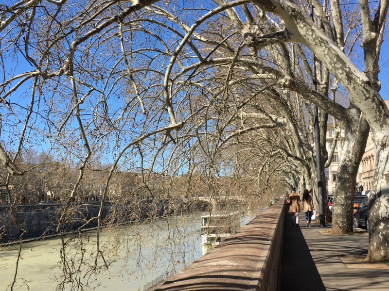 Top 10 sights in Rome River Tiber Top 10 sights in Rome River Tiber