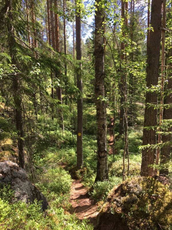 Loukkuvuori trail, Southern Konnevesi National Park Loukkuvuori hike, Southern Konnevesi National Park