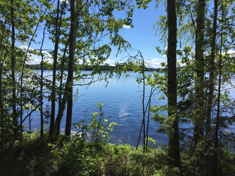 Enonranta, Southern Konnevesi National Park Loukkuvuori trail at Enonranta, Southern Konnevesi National Park