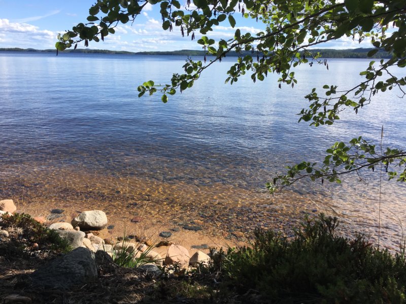 Pyysalo island lake view Pyysalo lake view