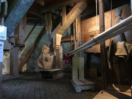 Dorf molle, Denmark
