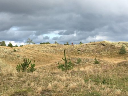 North Jutland sand dunes, Denmark
