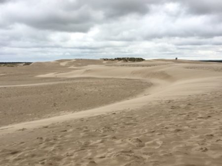 Råbjerg Mile, Skagen