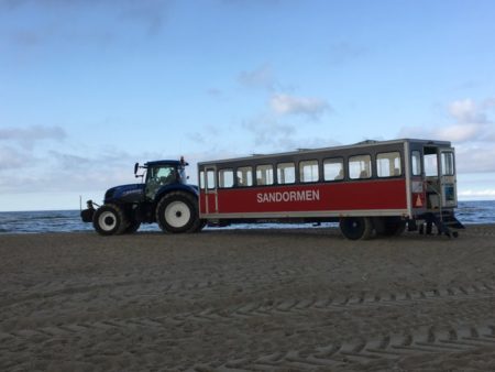 Sandormen, Grenen