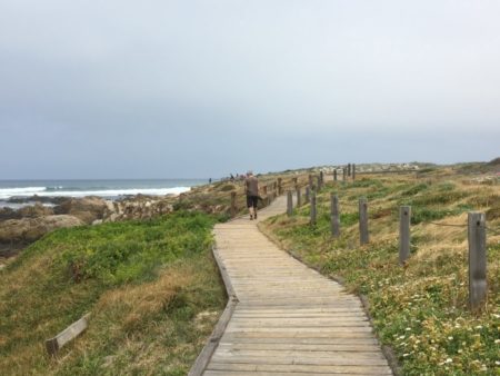 17 Mile Drive Ocean shore boardwalk