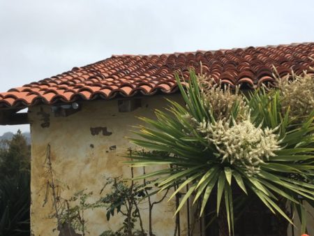 Carmel Mission, California