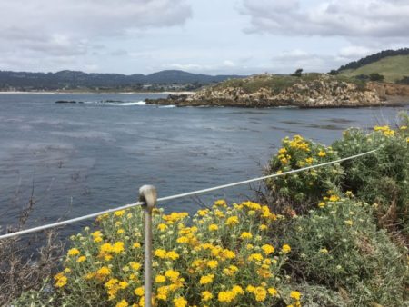 Hiking in Point Lobos State Reserve