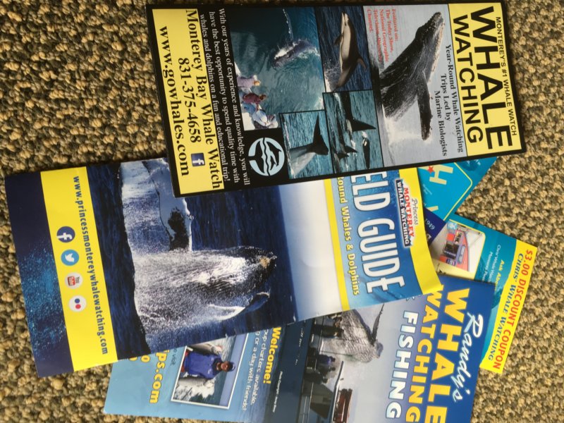 Monterey Bay whale watching operators Monterey whale watching operators