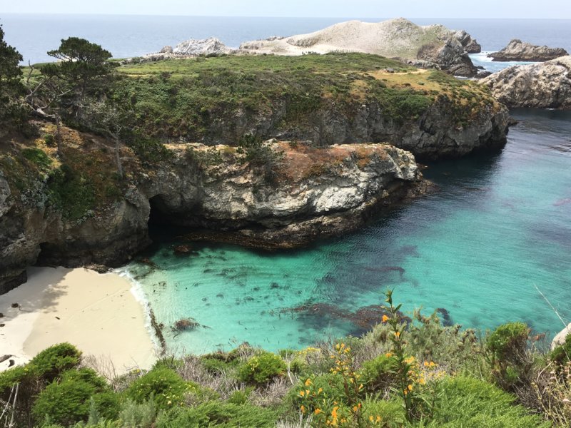 Point Lobos State Natural Reserve seal cove Point Lobos State Natural Reserve seal cove