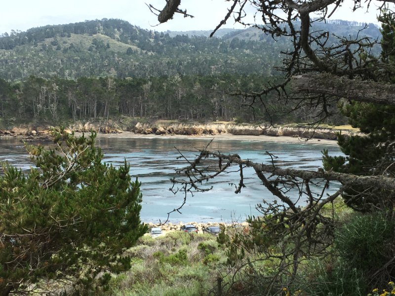 Point Lobos State Natural Reserve Point Lobos State Natural Reserve