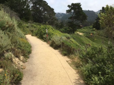 Point Lobos State Reserve Bird Island Trail