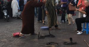 Jemaa el-Fna snake charmer