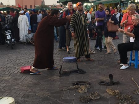 A Marrakech snake charmer A Marrakech snake charmer