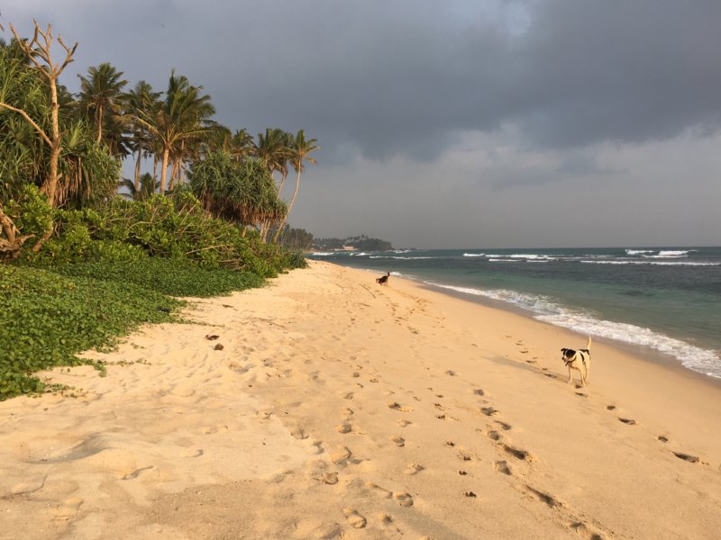 Ahangama Beach, Sri Lanka's South Coast Ahangama Beach, Sri Lanka's South Coast