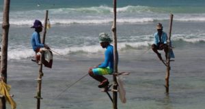 Ahangama stilt fishers, Sri Lanka