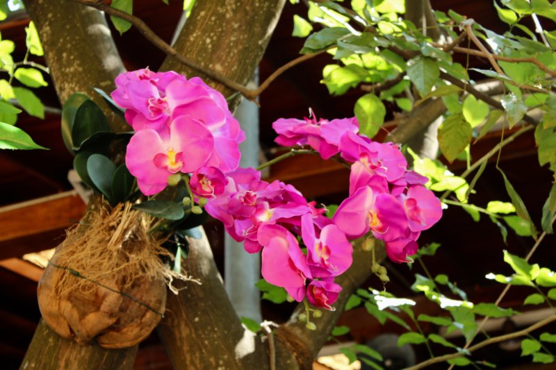 Gangaramaya Temple flowers Temple flowers, Colombo