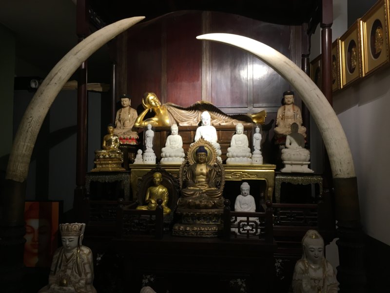Gangaramaya Temple elephant tusks Gangaramaya Temple interior, Colombo