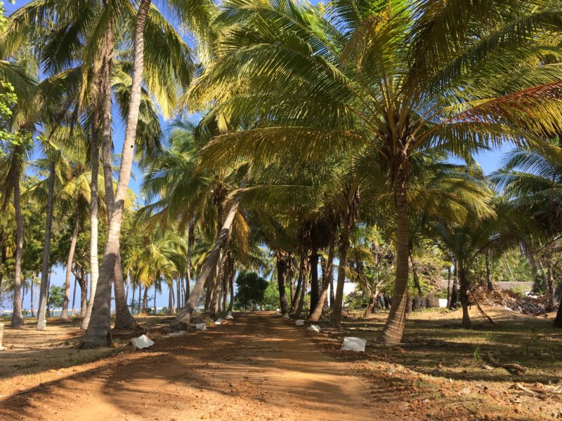 Villa Kalpitiya road Villa Kalpitiya road