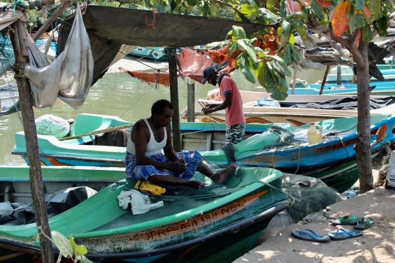 Negombo fishermen Negombo fishermen