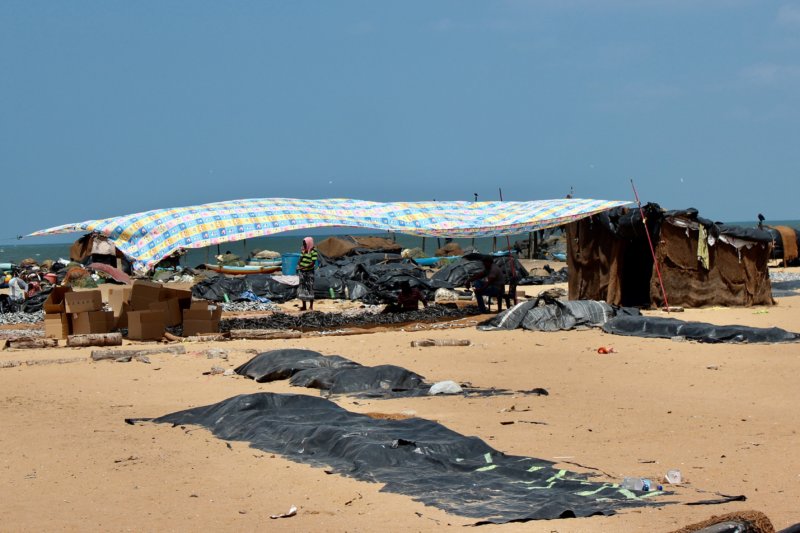 Negombo harbor drying fish Negombo fishing harbor