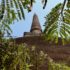 Dreaming about travel: Polonnaruwa stupa, Sri Lanka
