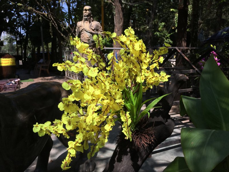 Gangaramaya Temple flowers Temple flowers and statue, Colombo