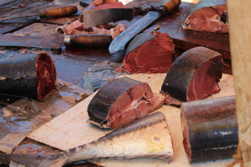 Tuna fish, Negombo fish market Tuna fish