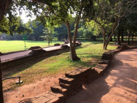 Aliya Resort garden, Sri Lanka
