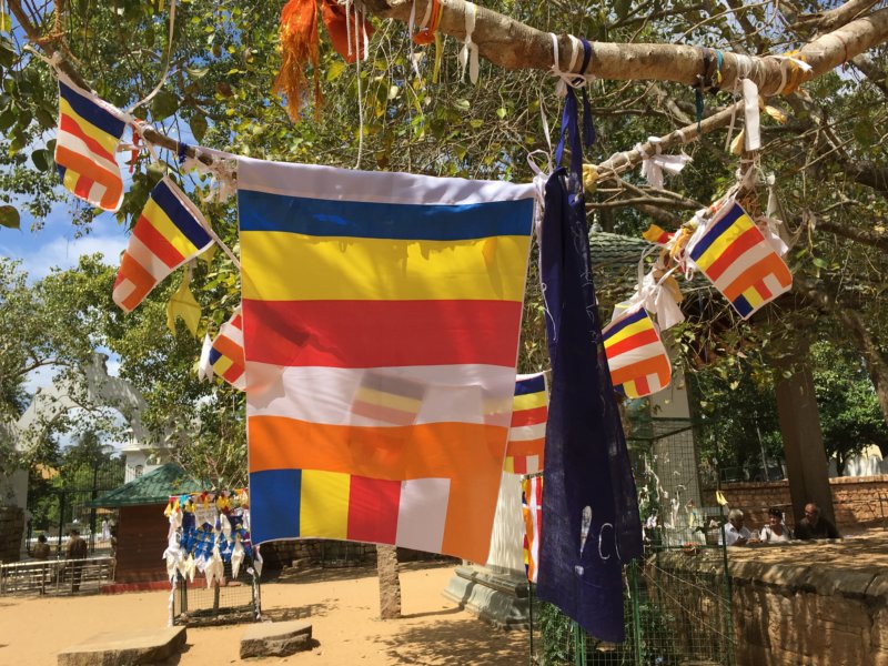 Buddhist flags in Anuradhapura Buddhist flags