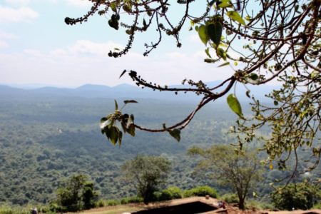 Cultural Triangle landscape from Sigiriya Rock