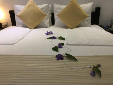 Hotel surprise, Lakeside at Nuwarawewa