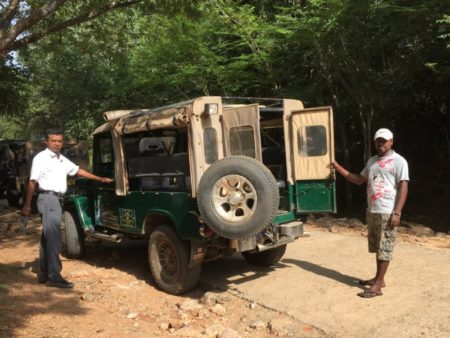Kaudulla National Park elephant safari Kaudulla safari