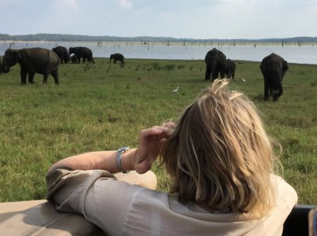 Kaudulla National Park jeep safari