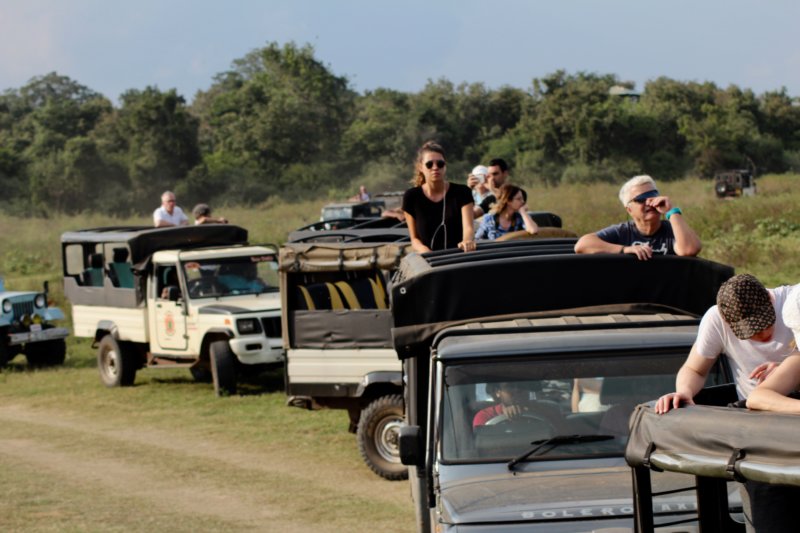 Kaudulla National Park safari Kaudulla National Park visitors in jeeps