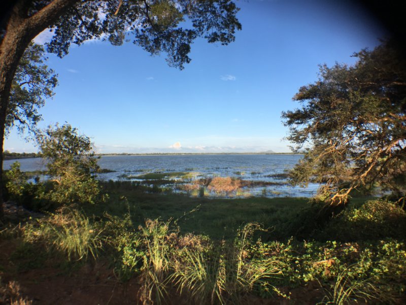 Lakeside view of Nuwarawewa Lakeside view of Nuwarawewa