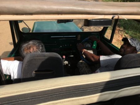 Kaudulla National Park jeep safari