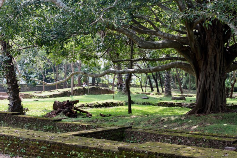 Polonnaruwa ruins, Sri Lanka's ancient cities Polonnaruwa ruins