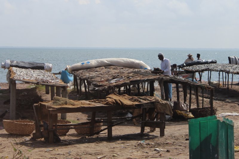 Sri Lanka's East Coast ,fishi drying Sri Lanka East Coast fish drying